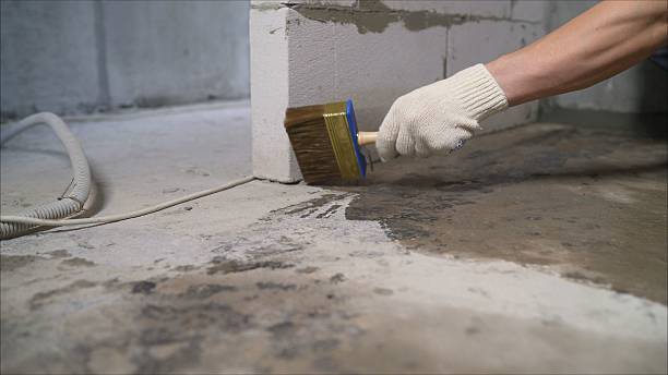 SJ Waterproofing Pros Basement Waterproofing coverage map for Mendota, IL and surrounding area